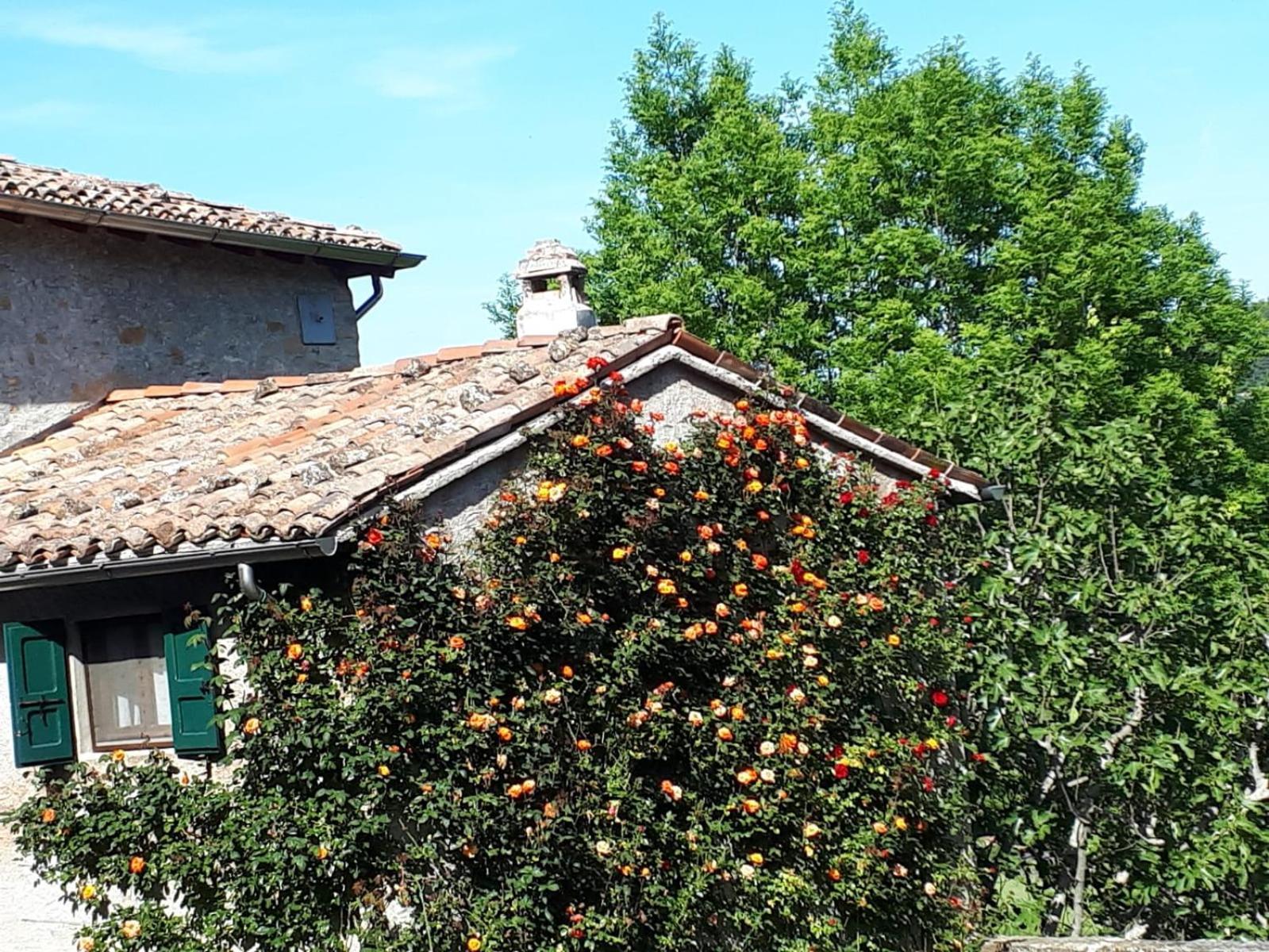 La Corte Bonomini Bed and Breakfast Neviano degli Arduini Buitenkant foto