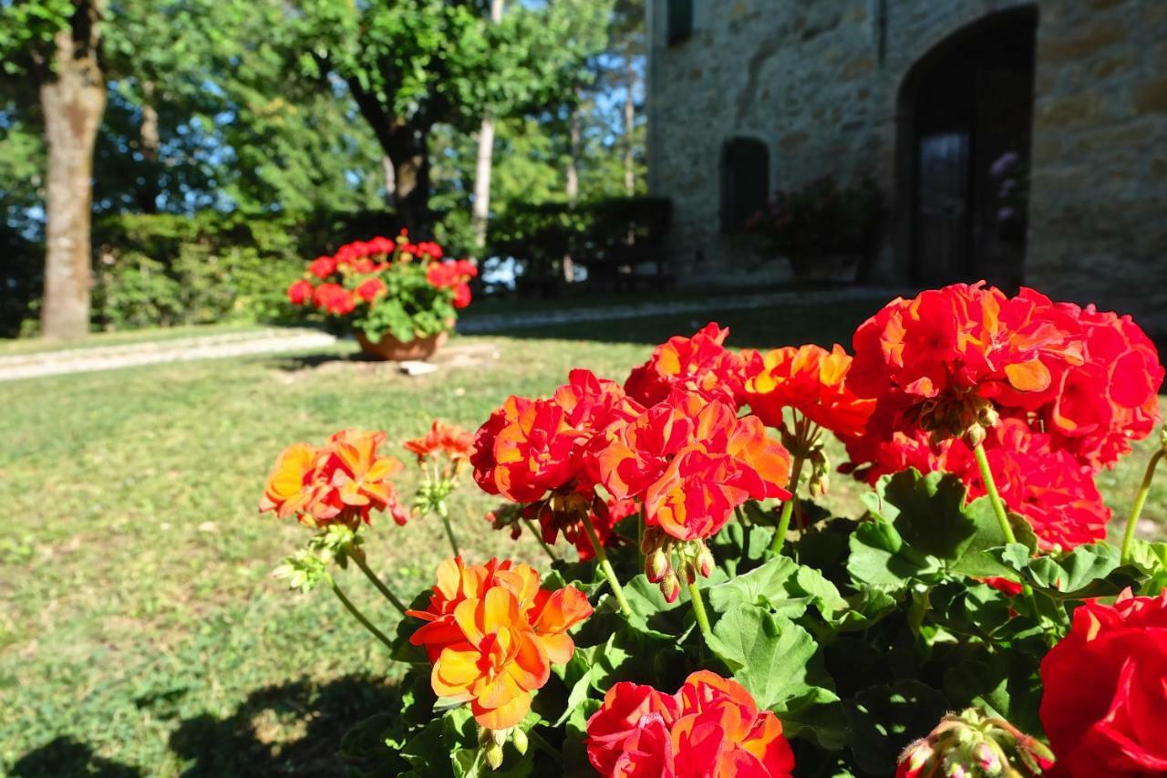 La Corte Bonomini Bed and Breakfast Neviano degli Arduini Buitenkant foto